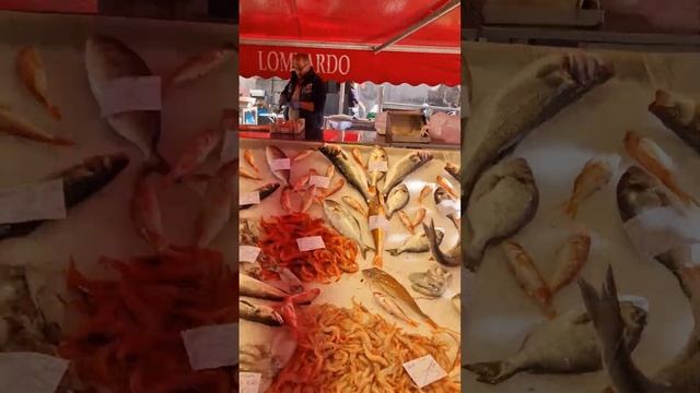 Sicily Is A Fish Market In Catania.