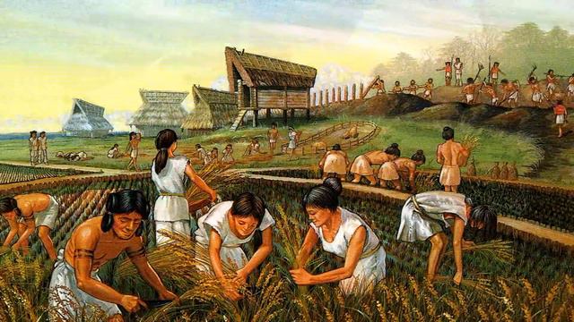 ГДЕ и КОГДА НАШЛИ ЧАЙ? История появления чая