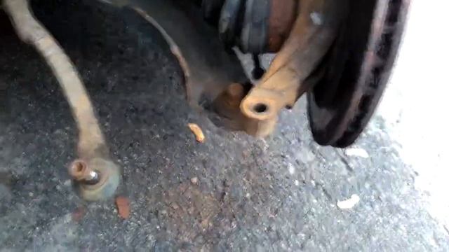 Автолюбовь в крови