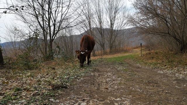 Свирское ущелье