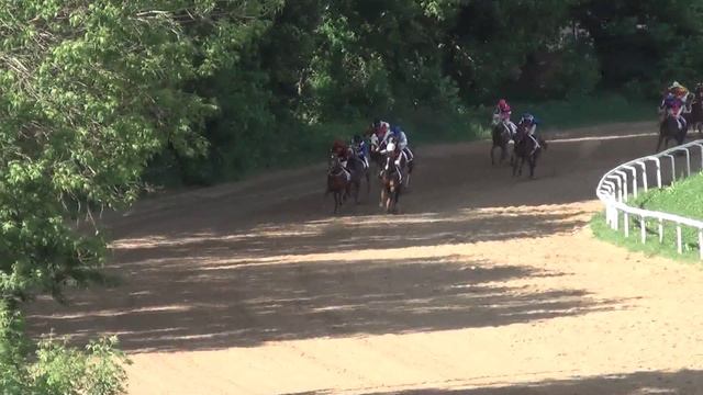 Московский ипподром. Скачки. 11.06.17. Скачка 9(28). ПРИЗ АРАБСКИЙ СКАКУН