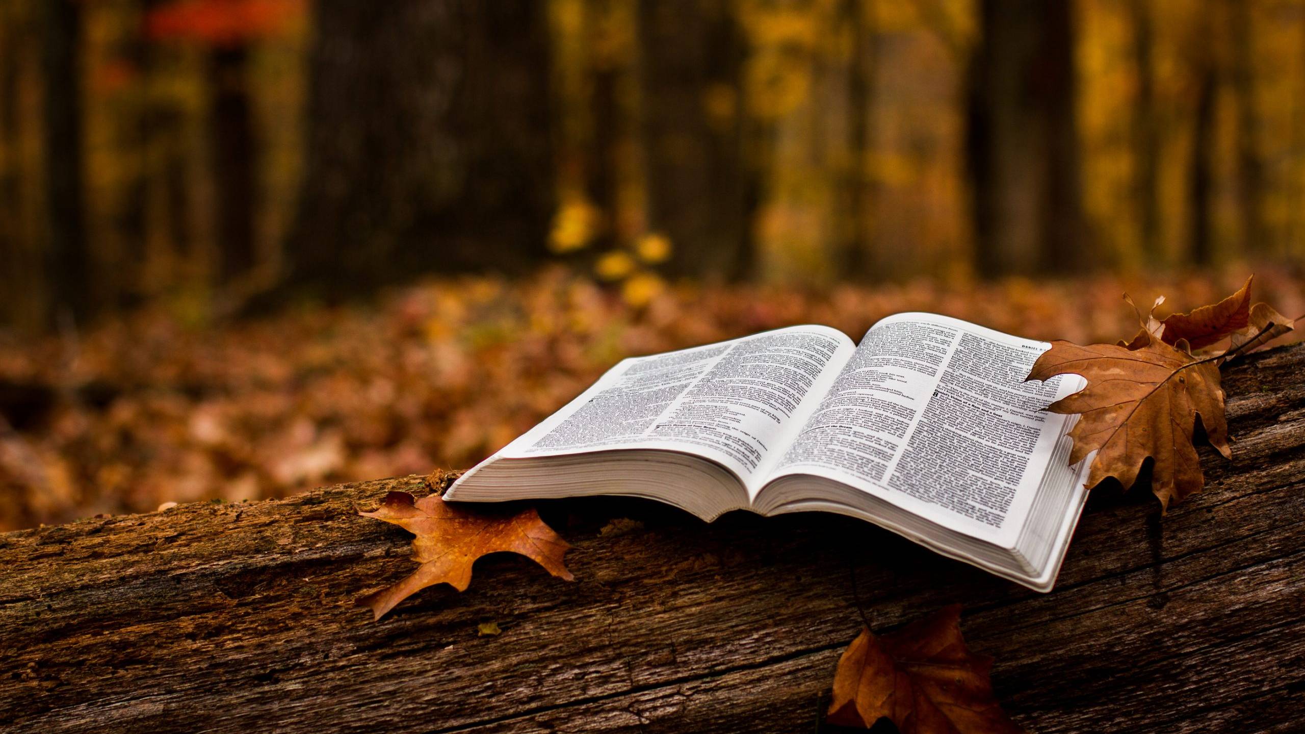 Пути Господни неисповедимы.