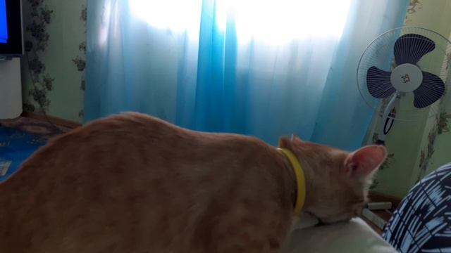 1f358dcf54003a2c2064d9472026aa38