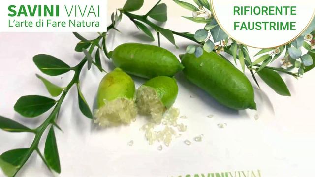 Le Varietà Di Un Agrume PRELIBATISSIMO!