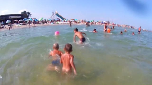 Миксики играют в мячик на море