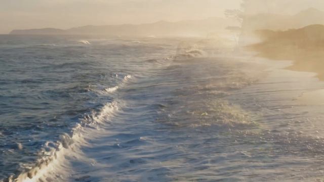 Sarasate -Navara For Two Violins And Piano (George & Sara Maxman)