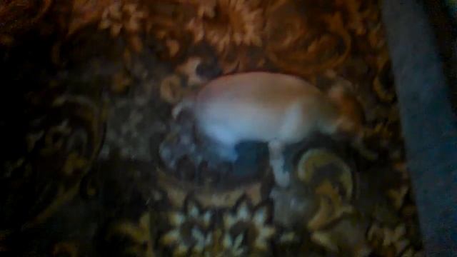 B4dab68ce083003a6bd8ea76eac9637c