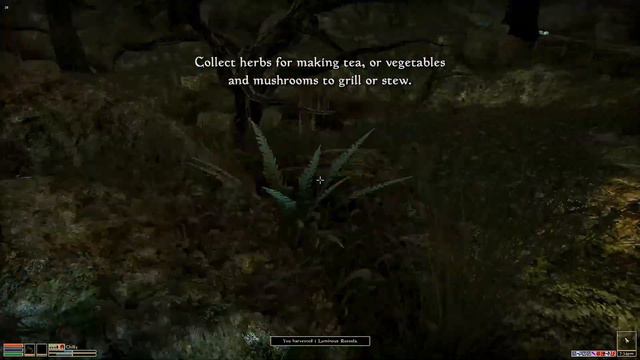 Ashfall - Gameplay Trailer: Camping Mechanics