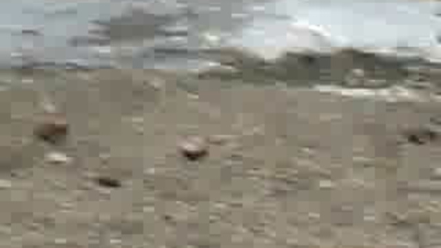 Fb31e56e1c18bb4a390fdb5826987263