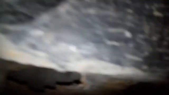 Спортивные моторы