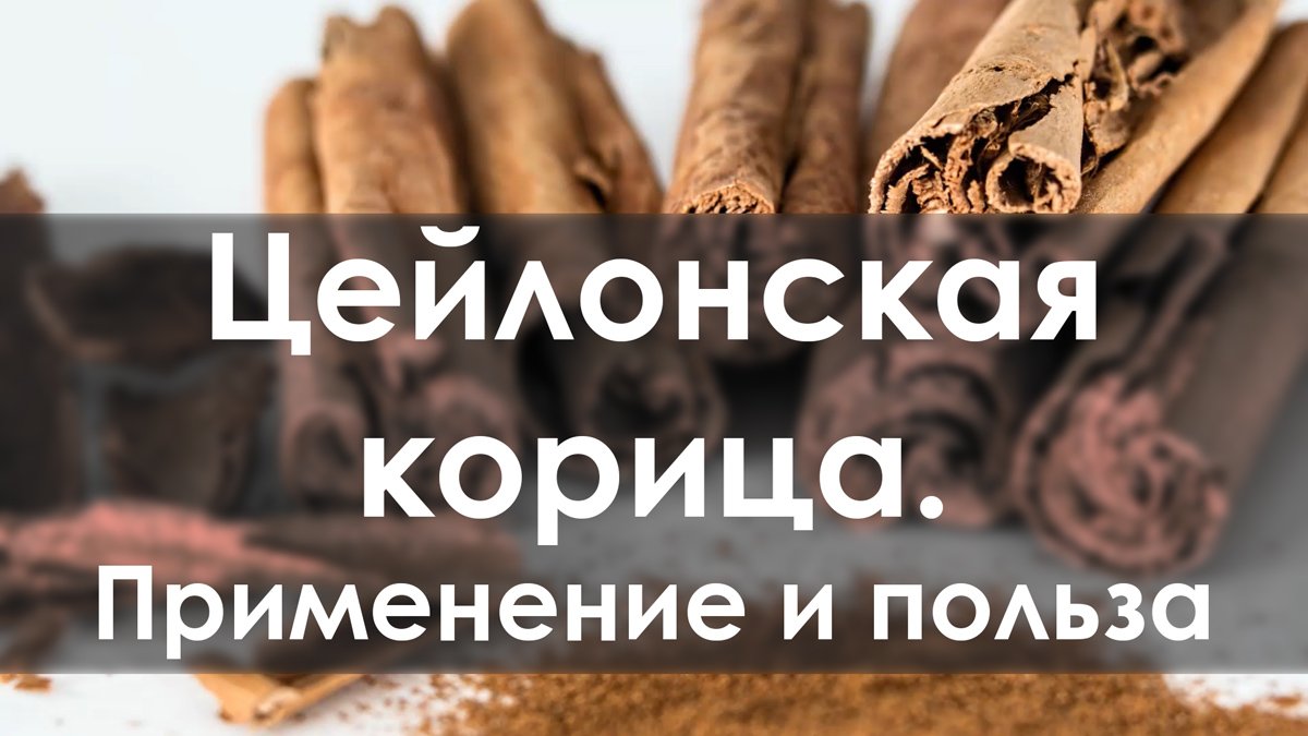 Цейлонская корица. Применение и польза