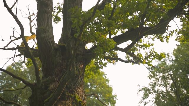 Keskkonnasõbralik Kodu