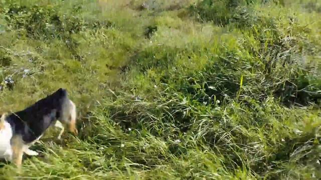 КРЫМ / ПОСЕЛОК СОВХОЗНОЕ / ЧТО СЛУЧИЛОСЬ С МОИМ ДОМОМ