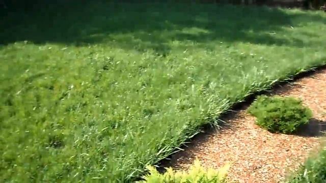 Система полива - три дождевателя Three Sprinkler