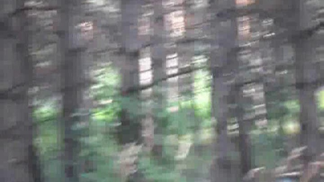 пейнтбол 3vs3