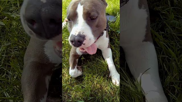 F14178423cd840d7e4aebe74dae658a7