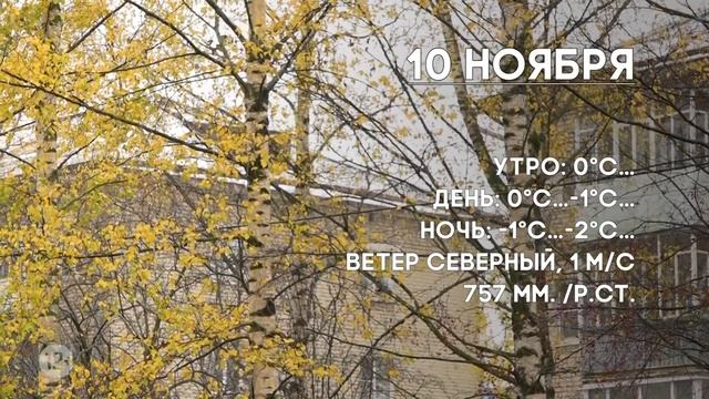 Погода на 10 ноября.