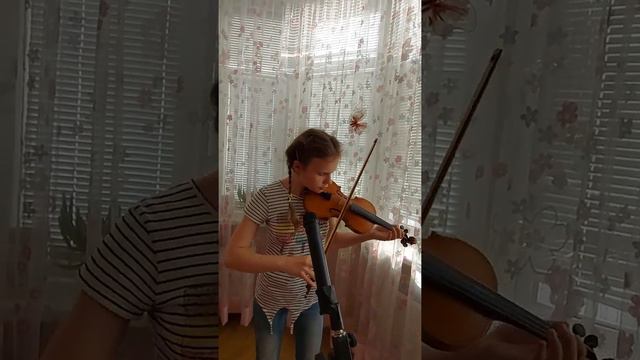 Shape Of My Heart  (cover) скрипка 🎻