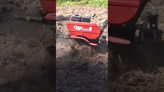 Мотоблок Ока обработка огорода,  мотоблок на поле, Российское производство #мотоблок