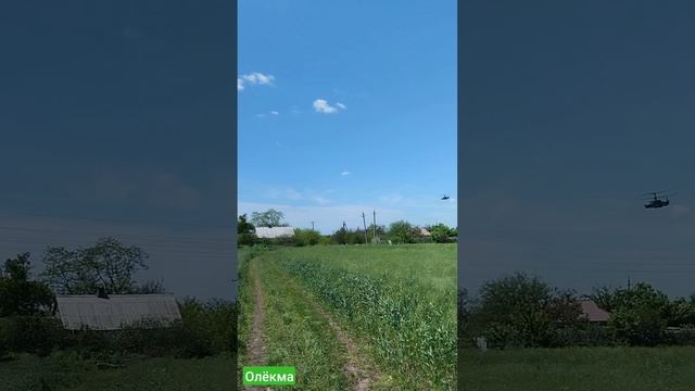 Старомлыновка май.mp4