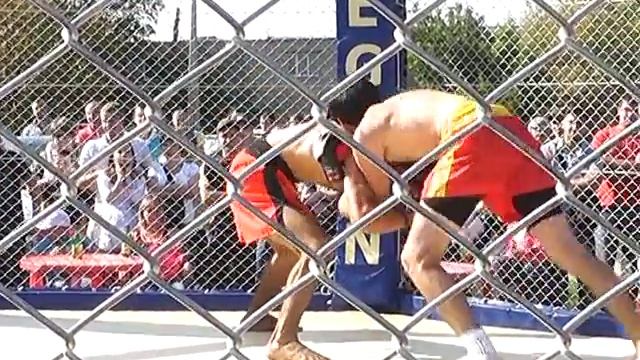 6fa04b029dbef5159272429094851940