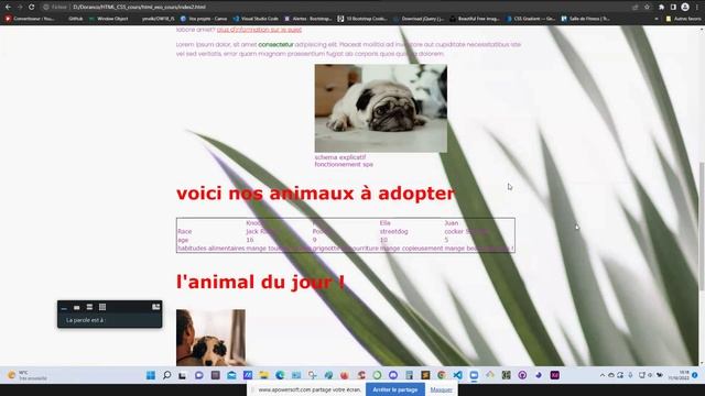 Exemple De Page Css (video-converter.com).mp4