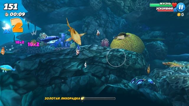 ГОЛОДНАЯ РИФОВАЯ АКУЛА ПРОТИВ ВСЕХ | Hungry Shark World