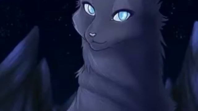 Коты воители. Я сошла с ума🐈🐈🐈🐈🐈