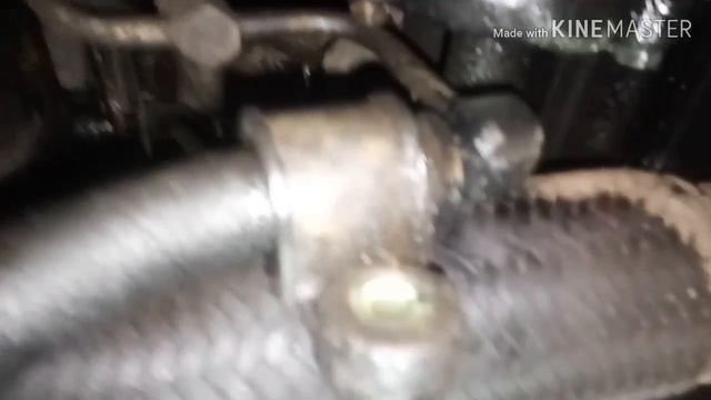 Белая гармония форм