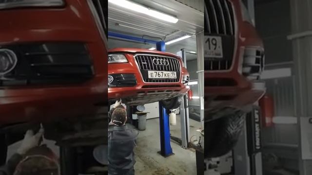 Спортивная Дисциплина