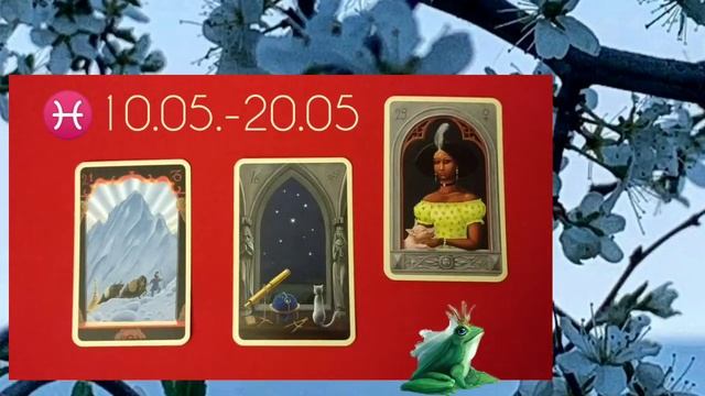 919eb6cb3af075165737673bc387fca9