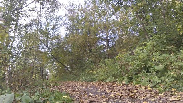 Вечерний молебен 19-й день.