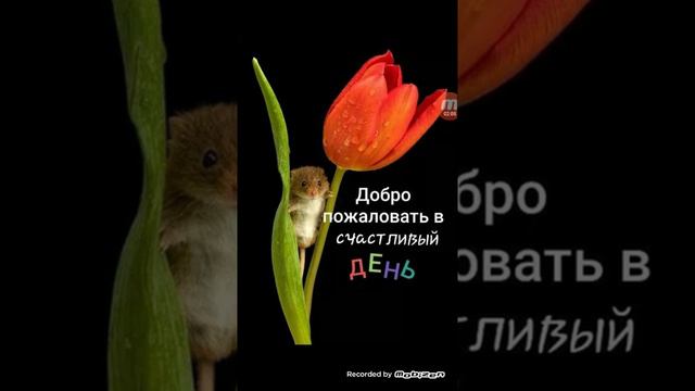 Стихотворение и поздравление с годовщиной.