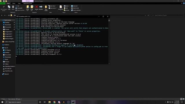 Minecraft Bedrock Plugin Server Tutorial (EASY) 2020