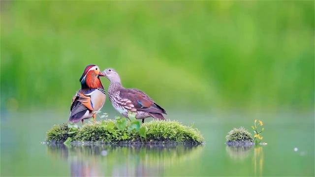 Музыка для душиРомантическая музыка без слов 3 час шикарной | Красивая музыка | Спокойная музыка