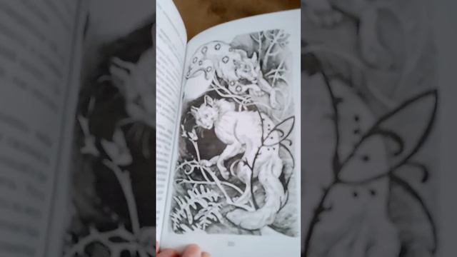 Эдит по книге : История Остролистой. Эрин Хантер Коты воители 3 истории