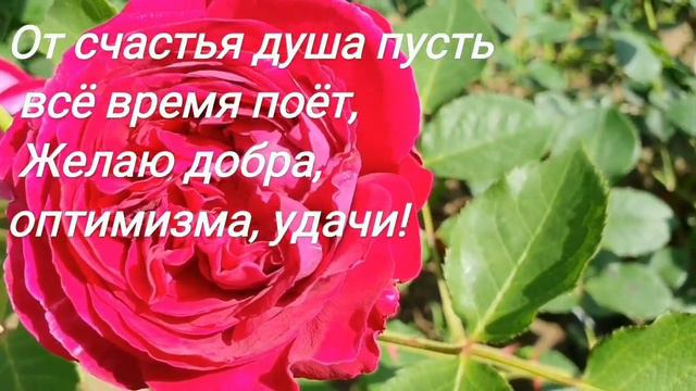 Привет!) Как проходит Твой день? Как дела? Желаю Тебе, чтоб удача была!