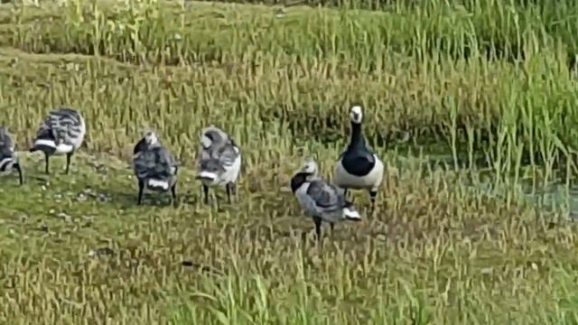 7e436ba051a349bd10747c86263c040f