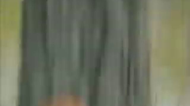 Русский лес