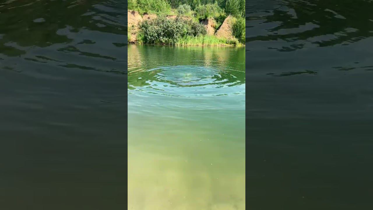 #fpv #drone #рыбалка #pavo20