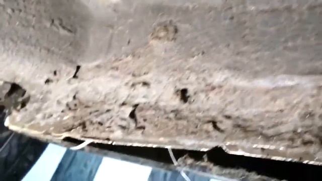 Сила Знания