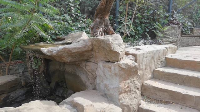 Южный парк птиц Малинки