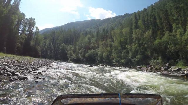 Лосиха с лосенком. Улуг-оо хтурм вверх и вних 60 км.