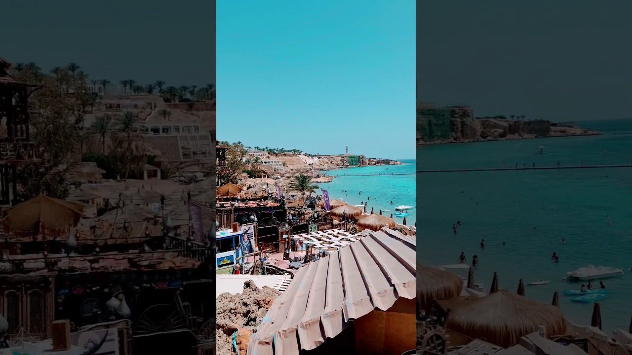 0293b7a5be848c7e7dfa929e604c5450