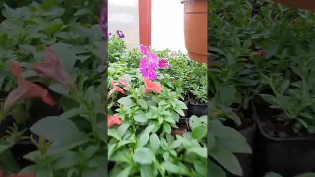 работа полным ходом