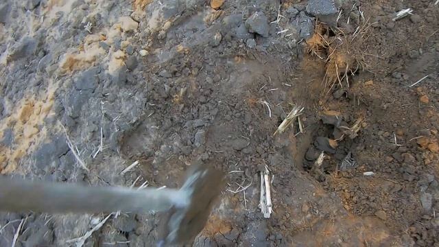 698ba347d6aacd672e3efe9b19fe62ab