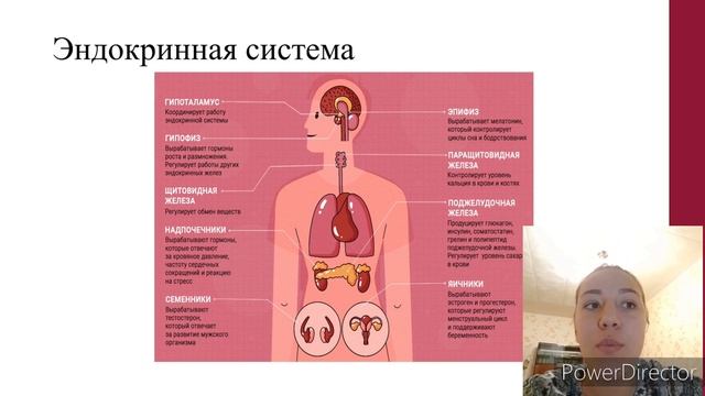 ЭЛЕКТРОМАГНИТНОЕ ИЗЛУЧЕНИЕ В ЖИЗНИ ЧЕЛОВЕКА