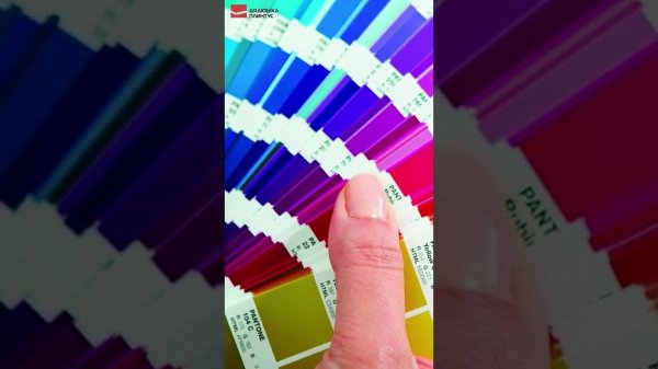 РемКомплект к полистиролу Волшебная палочка NCS 4005-Y20R