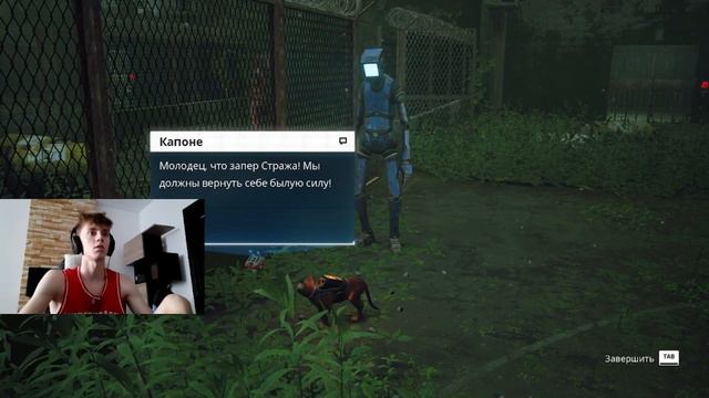 КОНЦОВКА ИГРЫ! Кто остался с нами до конца? / Полное прохождение Stray