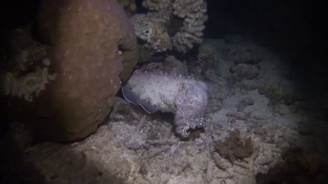 205f0fa270b48cee73ca9f7057a59445